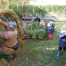 01 è arrivato il momento di potare i salici in giardino.JPG